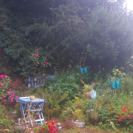 La Petite Maison Bleue Daire Jugon-les-Lacs Dış mekan fotoğraf