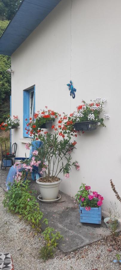 La Petite Maison Bleue Daire Jugon-les-Lacs Dış mekan fotoğraf