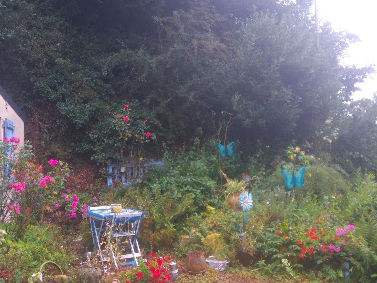 La Petite Maison Bleue Daire Jugon-les-Lacs Dış mekan fotoğraf